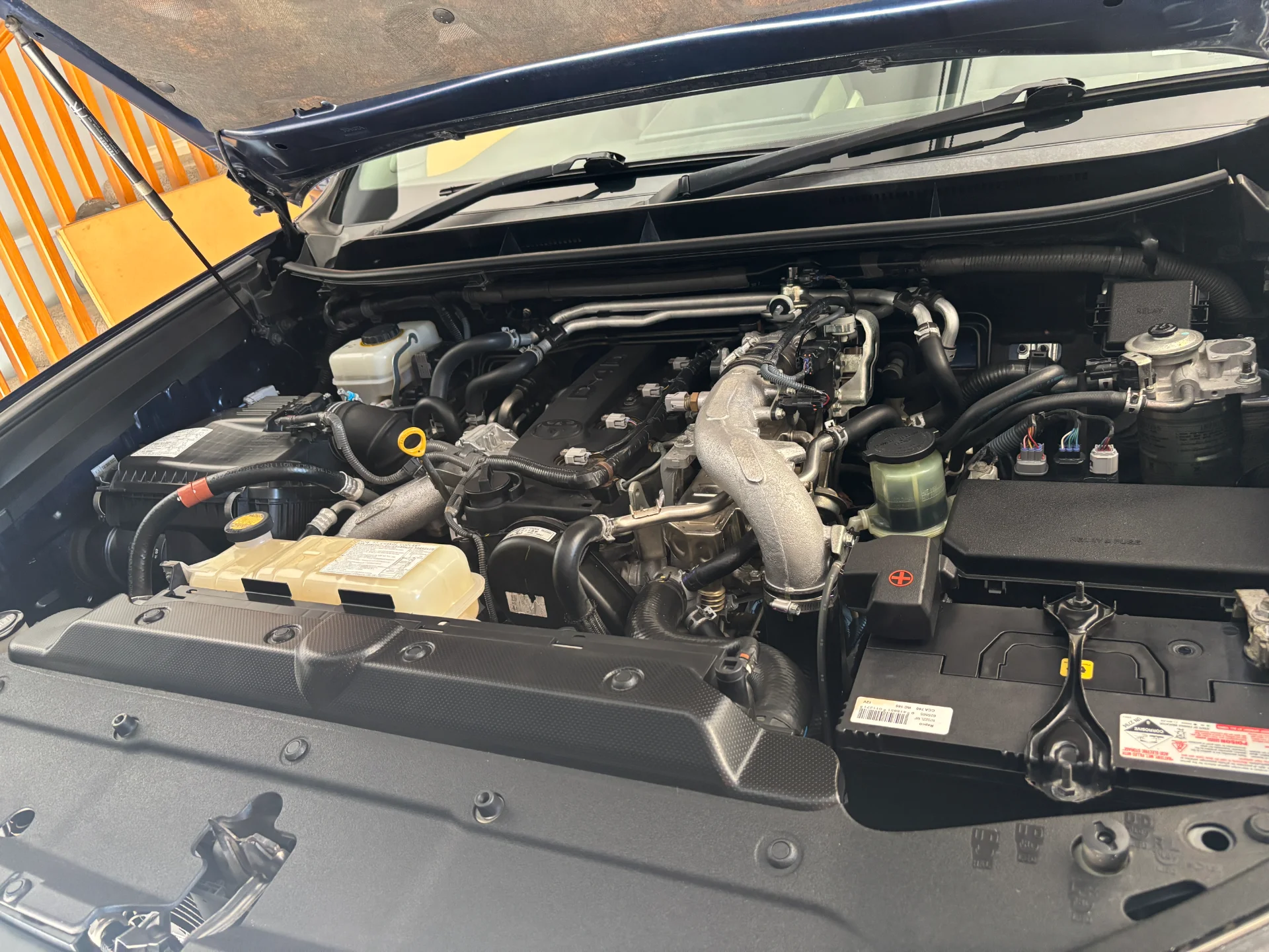 Paint enhancement Tauranga