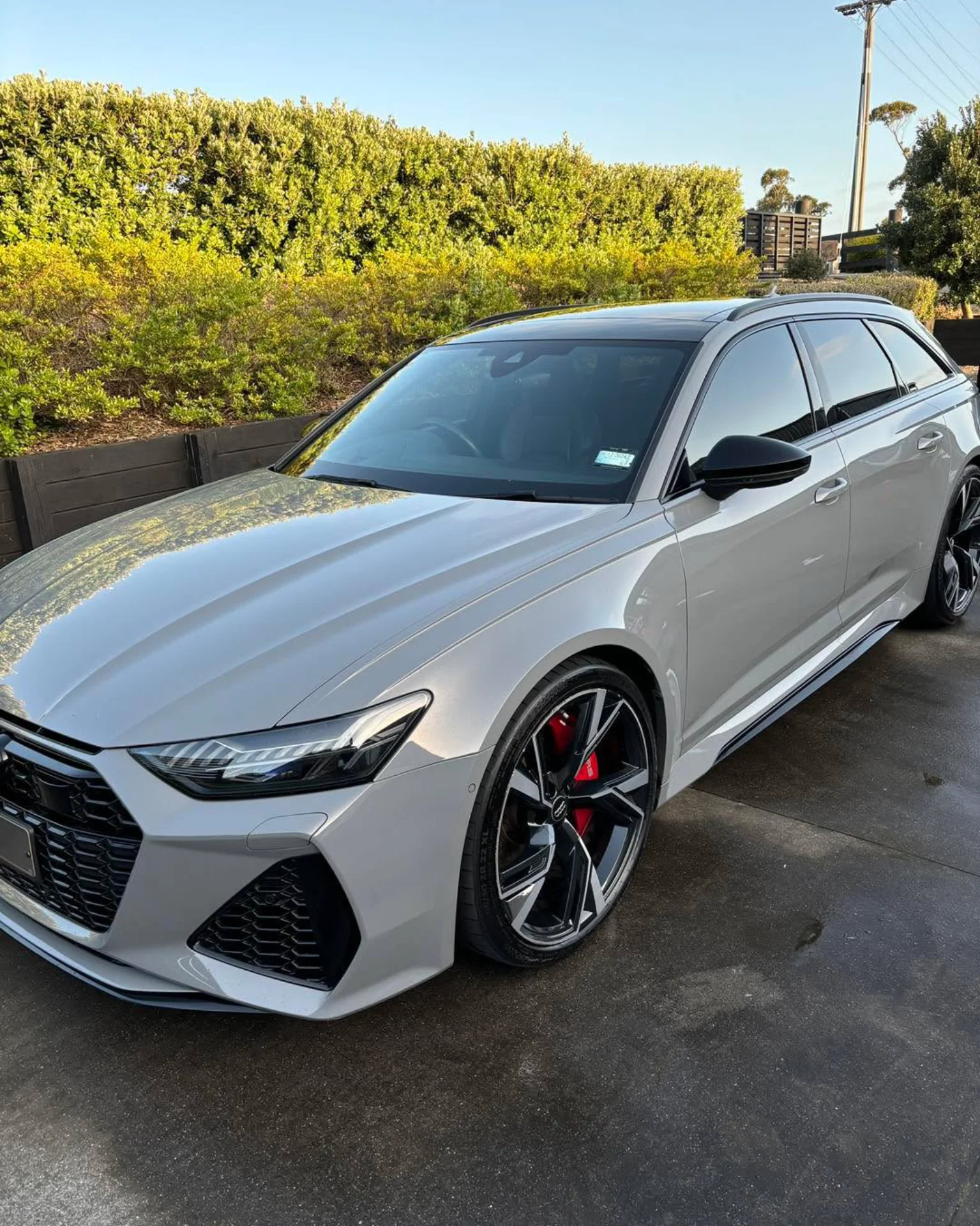 Premium car detailing Tauranga Bay of Plenty